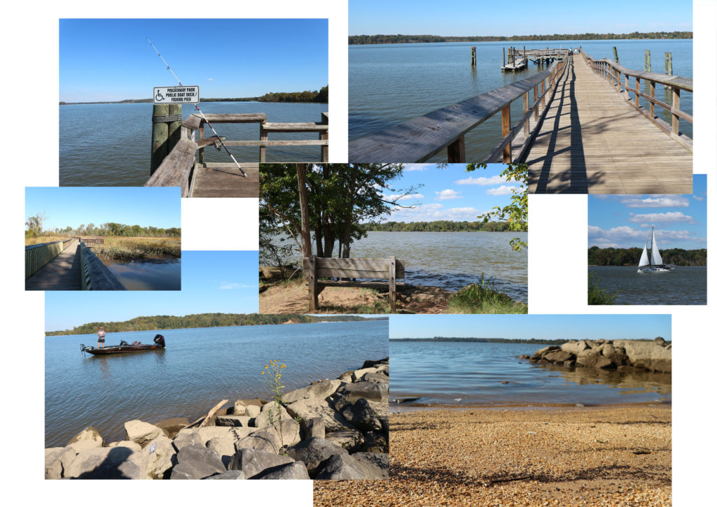 Collage of scenes from the shoreline of a wide river